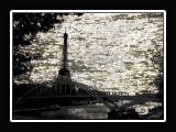 DSC05574-2
