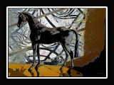 Horse5964