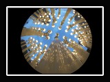ROWNAK-LACMA-14