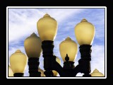 ROWNAK-LACMA-2