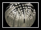 ROWNAK-LACMA-20