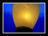 ROWNAK-LACMA-2273Effectx12