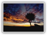 ArizonaWide