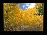 AspenBend