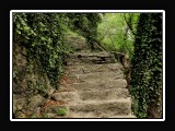 Steps9249-2_tonemapped-2